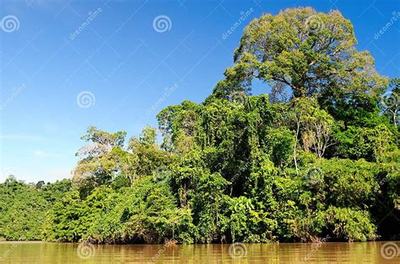 《斗仙界》0.1折手游新體驗 爽快世界,代理開發新機遇